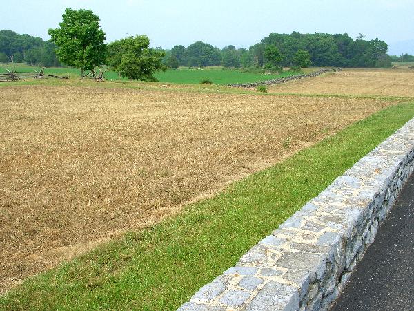 Antietam Farmland