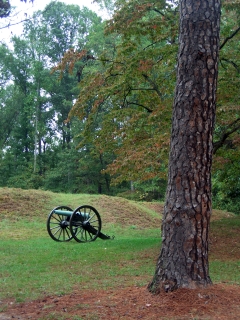 Petersburg Cannon