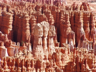 Inside the Bryce Amphitheater