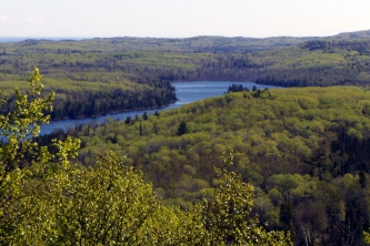 View From the Trail