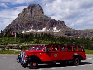 Red Buses at Glacier NP
