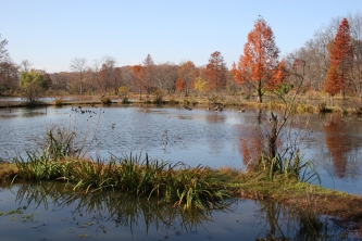 Beautiful Autumn Day at the Gardens