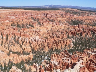 Wide Vista