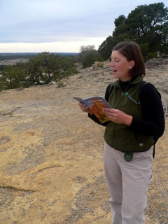 A Wonderful Tour Guide