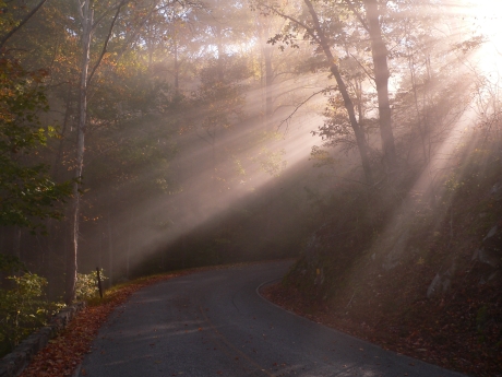 Sunshine Morning