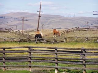 Montana
