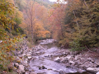 Fall Colors