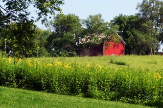 Lovely Iowa