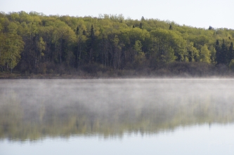 Morning Mist