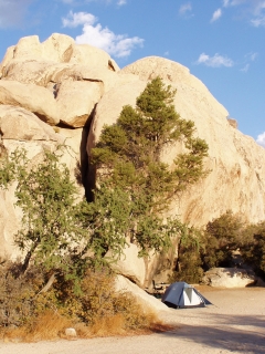 Best Campsite