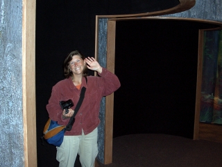 Gab Inside Hollowed Out Museum Tree