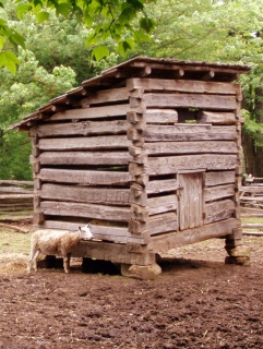 Tending the Coop