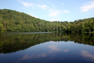 Walden Pond or The Pogue?