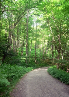 Carriage Road Trail