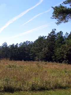 Tar Heel Zone