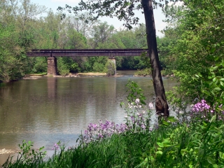 Flowing Monocacy