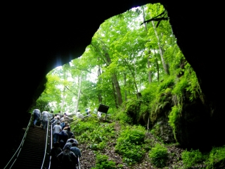 The Way Out