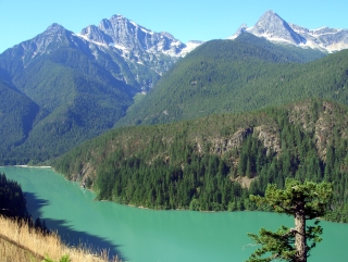 Ross Lake