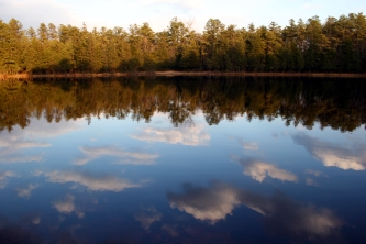 Pinelands Sky