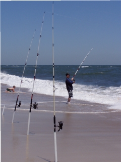 Shore Fishing at Assateague