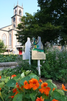 Rhode Island Garden