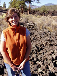 Gab vs. the Volcano