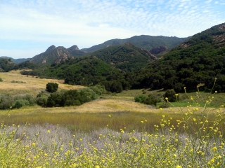 Santa Monica Mountains