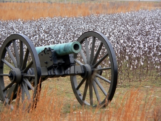 Stones River Cannon