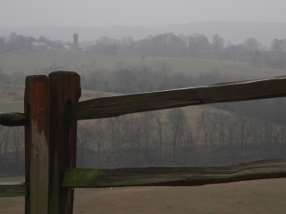 Misty Afternoon