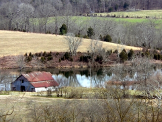 Rural View
