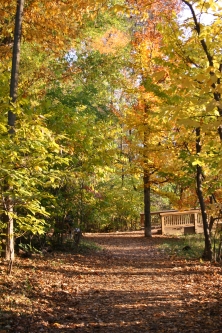 Teddy Roosevelt Island