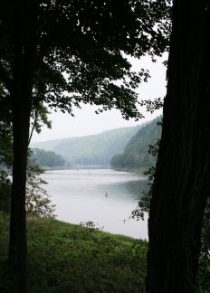 Bend in the River