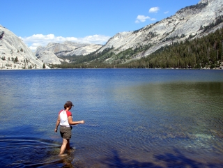 Wade in the Water
