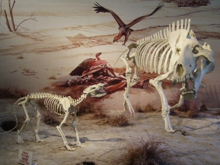 Veldt Scene at Agate Fossil Beds NM