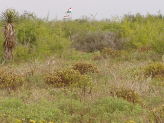 Flags