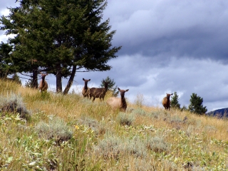 On the Way to the Visitor Center